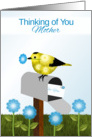 Yellow and Black Bird on Maibox with Flower, Thinking of You, Mom card
