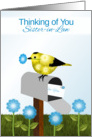 Yellow and Black Bird on Maibox, Thinking of You,Sister-in-Law card