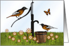 Baltimore Oriole Birds and Pump, Blank Note card