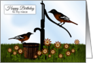 Happy Birthday Niece Oriole Birds at Pump card