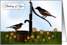 Thinking of You Oriole Birds at Pump card