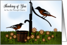 Thinking of You Chemotherapy Treatment Oriole Birds at Pump card