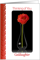 Thinking of You, Goddaughter, Orange Flower in Vase card