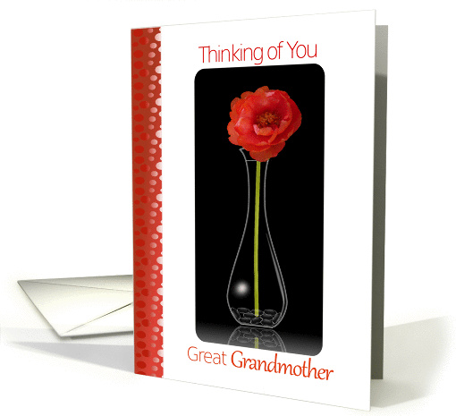 Thinking of You, Great Grandmother, Orange Flower in Vase card