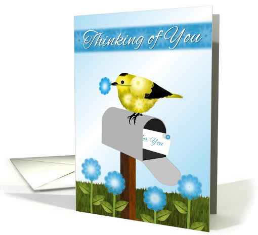Thinking of You, Black and Yellow Bird (Goldfinch) on Maibox, card
