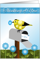 Thinking of You, Daughter, Black and Yellow Bird on Maibox, card