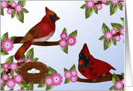 Pair of Cardinals and Nest, Blank card