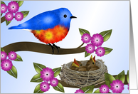 Bluebird and Babies in Nest, Blank Note card