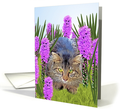 Cat Hiding in Flower Garden, Blank, Note card (1400790)