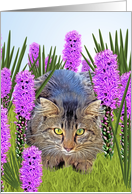 Cat Hiding in Flower Garden, Blank, Note card