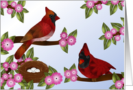 Cardinals and Nest with Eggs, Congratulations, Pregnancy, Religious card