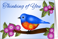 Bluebird and Pink Flowers, Thinking of You, Grandma card