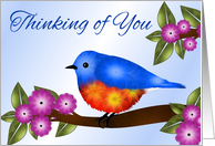 Bluebird and Pink Flowers, Thinking of You, Aunt card