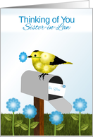 Yellow and Black Bird on Maibox, Thinking of You,Sister-in-Law card