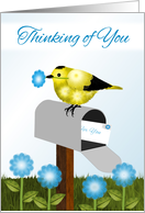 Yellow and Black Bird on Maibox,Thinking of You, Religious card