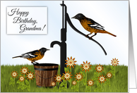Happy Birthday Grandma Oriole Birds at Pump card