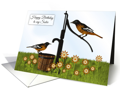 Happy Birthday Sister Oriole Birds at Pump card (1711580)