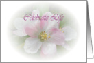 Celebrate Life card