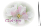 Apple Blossom Thank You card