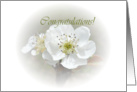 Pear Blossom Congratulations card