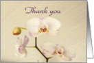 Orchid Soft and Subtle Thank You card