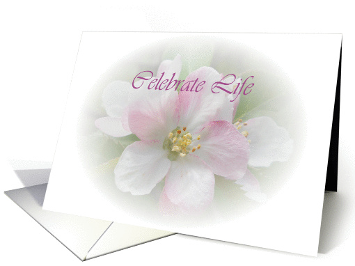 Celebrate Life card (1087488)