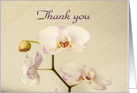 Orchid Soft and Subtle Thank You card