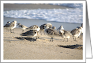 Beach Party. card