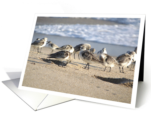 Beach Party. card (941692)