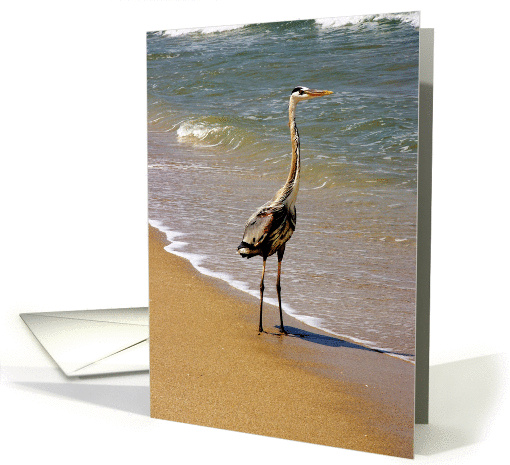Great Blue Heron on the Surf. card (941741)