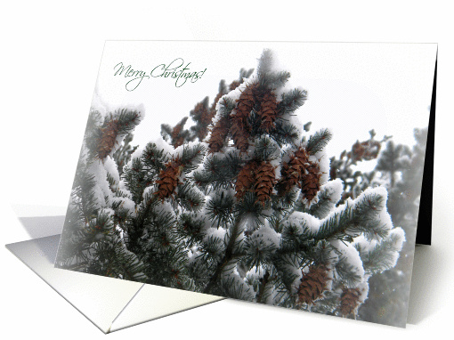 Merry Christmas, Evergreen with Pinecones card (997737)