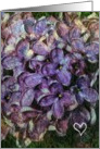 Love You, Lavender Blossims with Small White Heart card