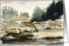 Brook Trout card