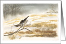 Falcon perched on branch in snow, painting, blank note cards