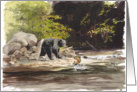 Black Bear & Trout in Stream, Blank Note Card