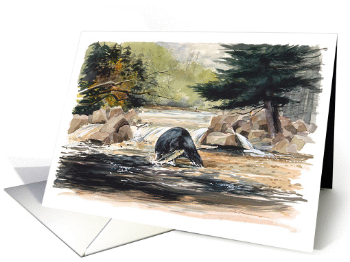 Black Bear Feediing for Salmon card (949279)