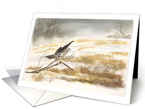 Falcon perched on branch in snow, painting, blank note card (953707)