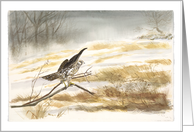 Falcon perched on branch in snow, painting, blank note cards