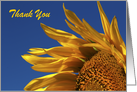 Sunflower Breeze Thank You Card