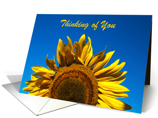 Sunflower Breeze Thinking of You card (944813)