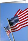 Veterans Day: Flags card