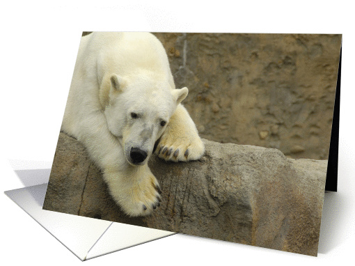 Miss You: Polar Bear card (945321)