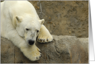 Miss You: Polar Bear card