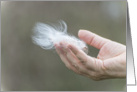 Milkweed Seeds being let go blank card