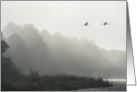 Cranes flying above a foggy lake blank card