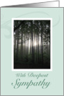 Sunlight passing through Forest Trees Sympathy Card