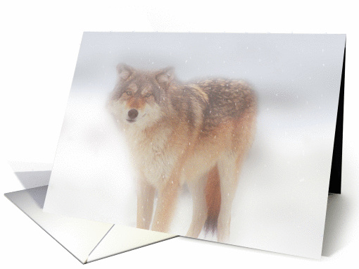 Ghost Wolf blank card (1162514)