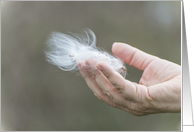 Milkweed Seeds being let go blank card