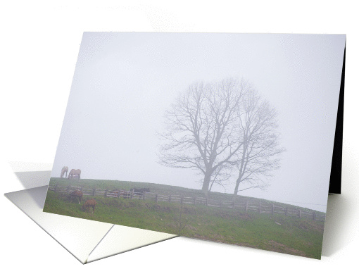 Foggy country scene blank card (1162896)