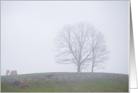 Foggy country scene blank card